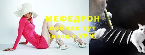 мяу мяу мука Баксан