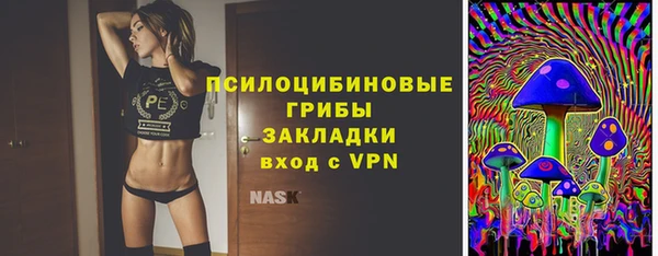 мяу мяу мука Баксан