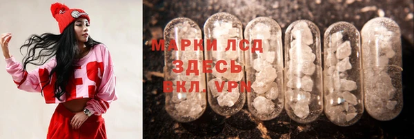 мяу мяу мука Баксан