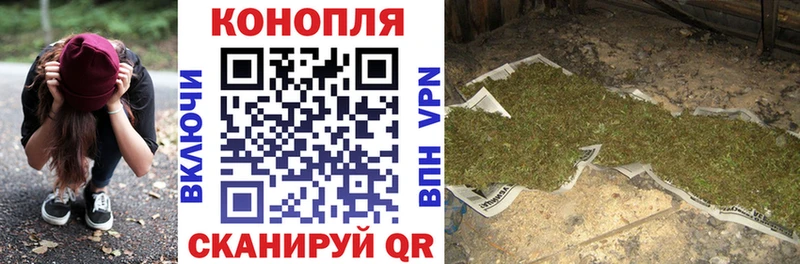 Канабис Ganja  Старица 